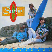 Pray For Sun by Surfin' Lungs