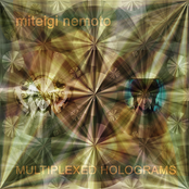 Multiplexed holograms (Callage II)