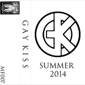 Summer 2014 cassette