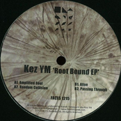 Root Bound EP