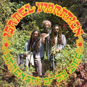 Middle East by Israel Vibration
