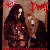 morbid & mayhem