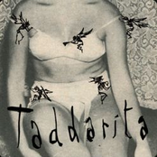 Taddarita