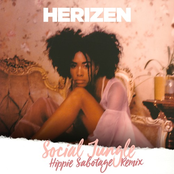 Herizen: Social Jungle (Remixes)