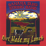 Nocturnal Animals by Banana Slug String Band