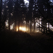 Die Ruhe vor dem Sturm