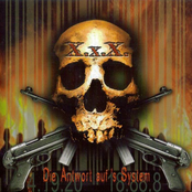 Die Antwort auf`s System