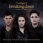 Paul McDonald: The Twilight Saga: Breaking Dawn - Part 2