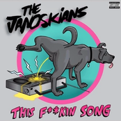 The Janoskians: This F**kin Song