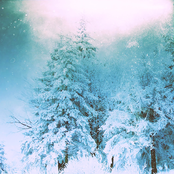 Divining The Last Light