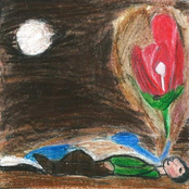 Manchmal auch bei Nacht, Marie