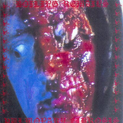 Boiling Remains / Pulmonary Fibrosis