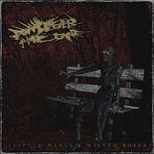 Clipped Wings & Wilted Roses