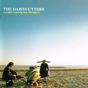 I Hate All Our Favourite Songs by The Daisycutters