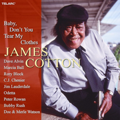 Blues For Jacklyn by James Cotton