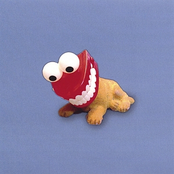 Jimmy Swift Band: The Rebirth of Hooch