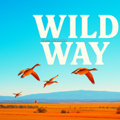 WILD WAY