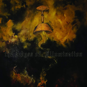 The Abyss of Illumination