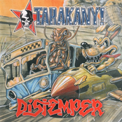 Тараканы! и distemper