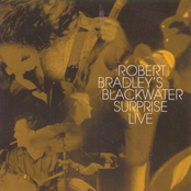 Shake It Off by Robert Bradley's Blackwater Surprise