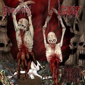 Excrutiatingly Euphoric Torment