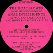 The "You Can Take Your E's And Shove Em Up Your Arse" E.P.