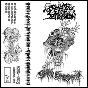 Ocular Leech Infestation Split Tape