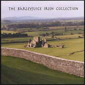 Barleyjuice: The Barleyjuice Irish Collection