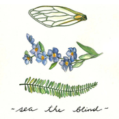 Sea the Blind