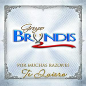 Solo by Grupo Bryndis