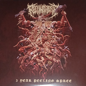 3 Year Peeling Spree