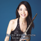 Flute Revolution