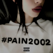 #pain2002