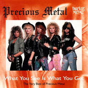 What You See Is What You Get( The Very Best Of Precious Metal