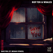 Save You (feat. Megan Stokes) [Remixes]