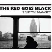 I Quit You Dead City