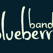 Blueberry Band