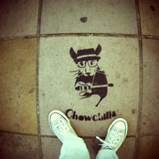 Single - Olhe Novamente