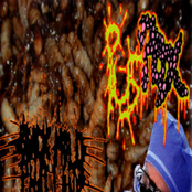 Black Mold Phallanx / Pus Pox