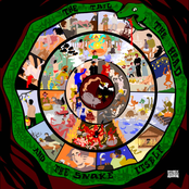 The Tail, the Head and the Snake Itself