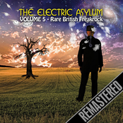 The Electric Asylum, Volume 5: Rare British Freakrock
