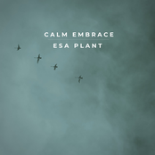 Calm Embrace
