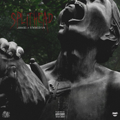 Splithead