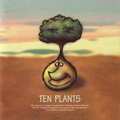 TEN PLANTS