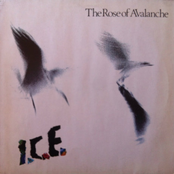 Ride The Storm by The Rose Of Avalanche