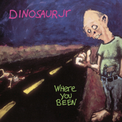 Dinosaur Jr.: Where You Been