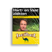 HART- EN VAATZIEKTEN