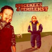 Dikke Bult by Spacekees & Terilekst