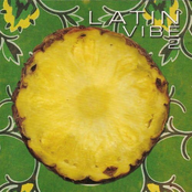Latin Vibe, Vol. 2