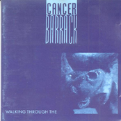 Walking Through The...